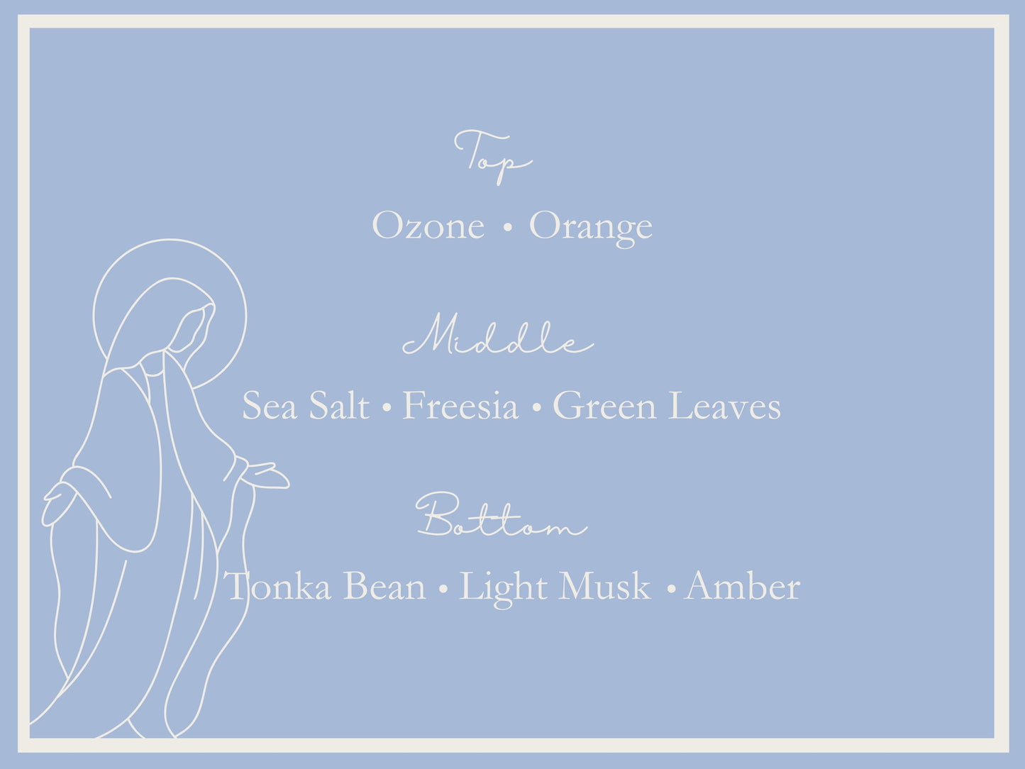 Fragrance Notes
