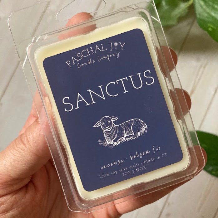 Sanctus Wax Melts in Hand