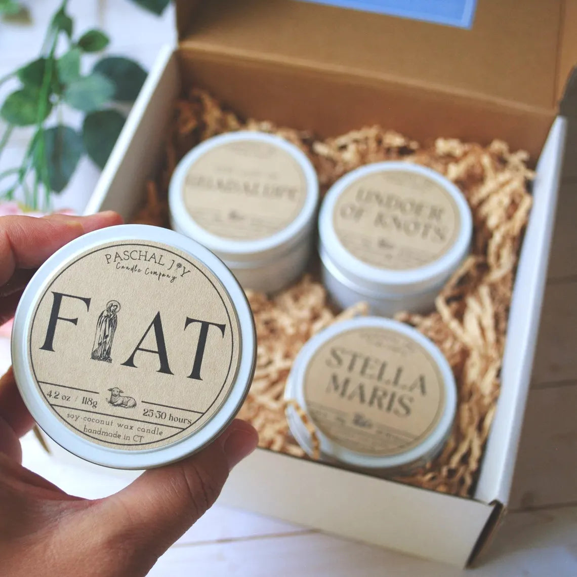 FIAT Tin Candle - Undoer of Knots, Stella Maris and Guadalupe in the background in a box