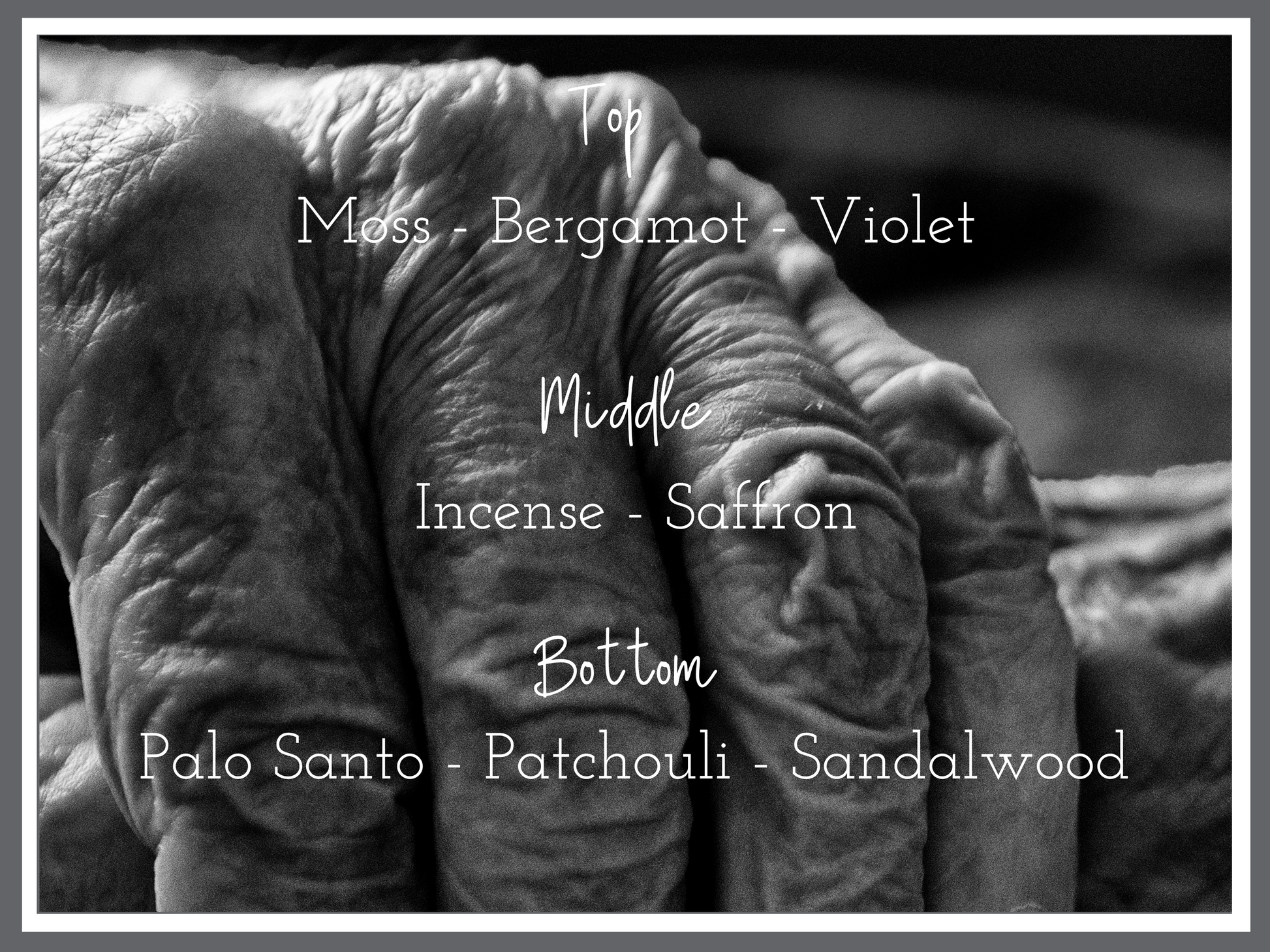 StTeresa Fragrance Notes