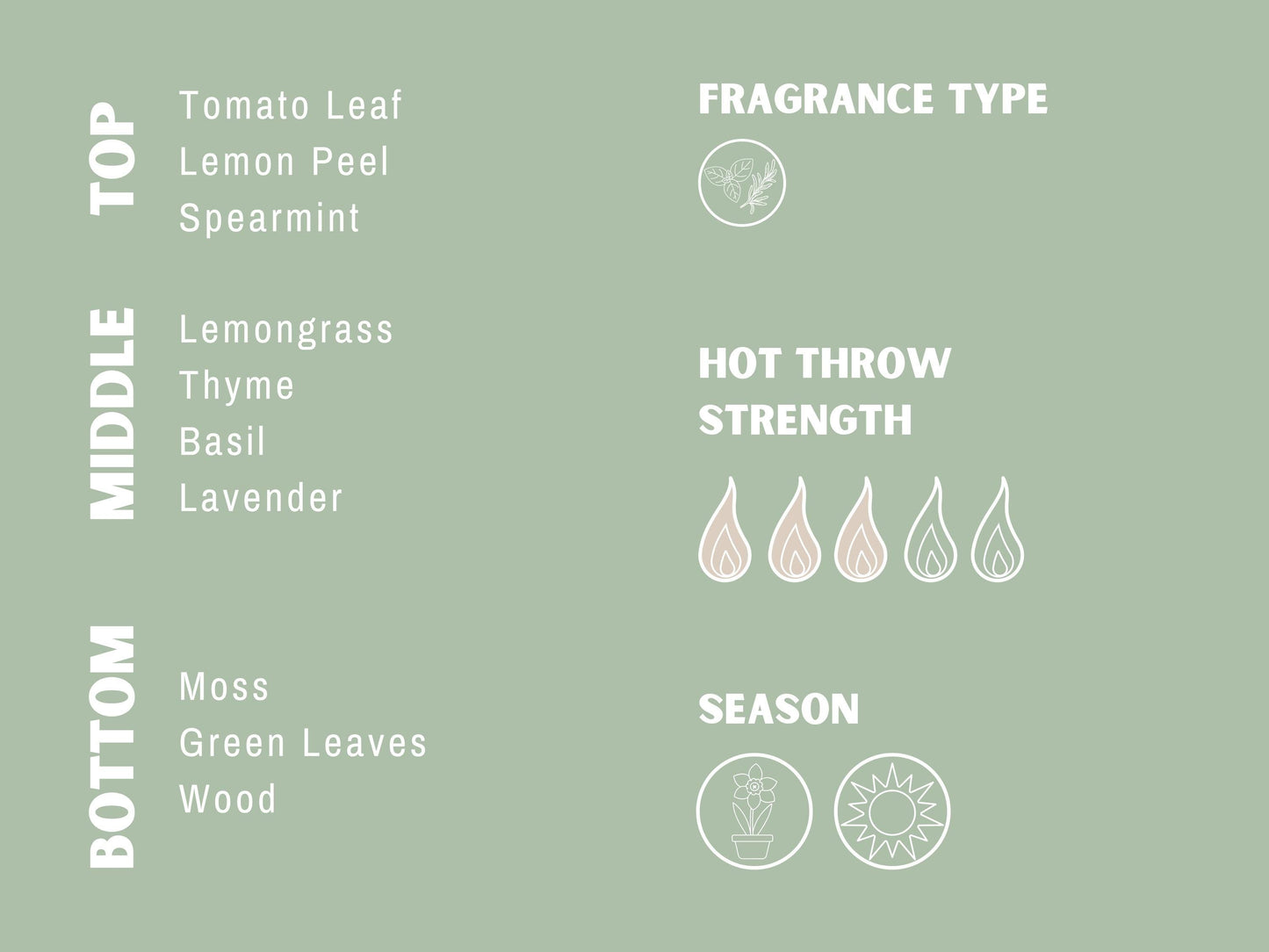 In The Garden Wax Melts